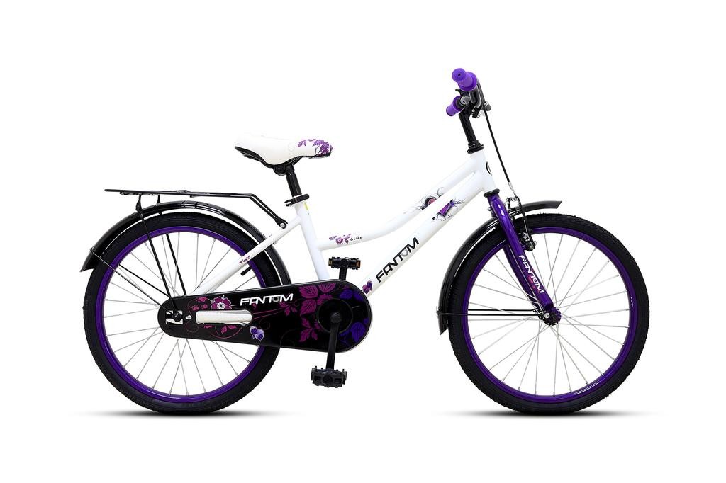 Bicicleta Aro 20