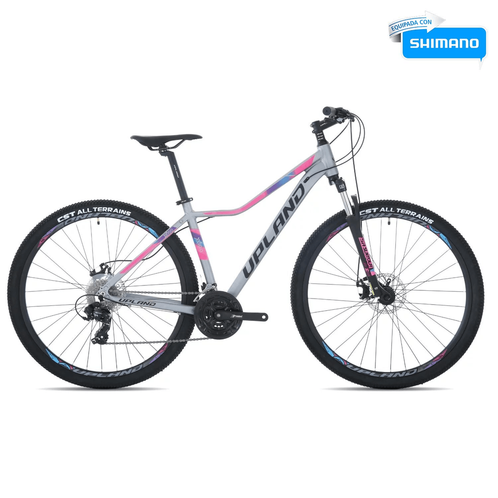 Bicicleta X100-29 Dama -