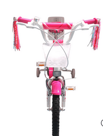 Bicicleta Infantil Dolce Acero V Brakes Silla P/Muñeca 1V. (2Do Color) -