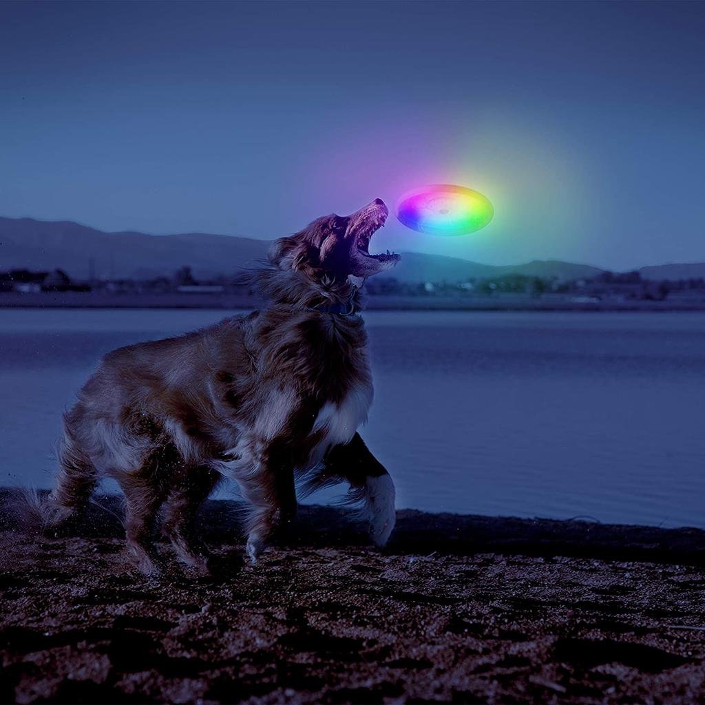 Disco Volador LED Para Perro - Color: Varios