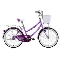 Miniatura Bicicleta Infantil Cyclotour Aro 20