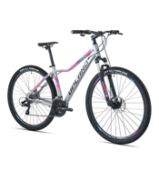 Miniatura Bicicleta X100-29 Dama - Color: Grey