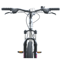 Miniatura Bicicleta X100-29 Dama - Color: Grey